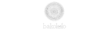 logo2 1