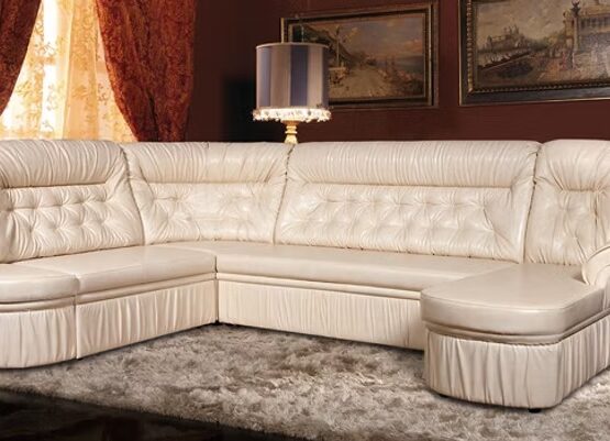 imgi_4_cecede_268ad1b7834e4498905dbdc5482afd31mv2 555x401