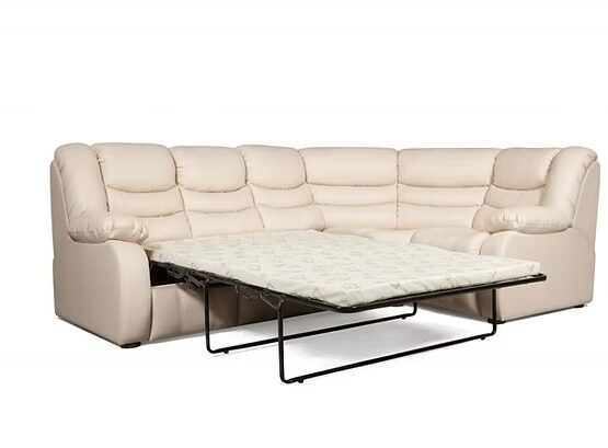 imgi_4_cecede_38a19e401e6040baa31c3515fdce7d9dmv2 555x409