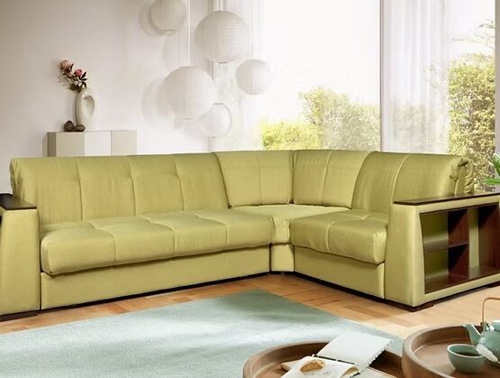 imgi_4_cecede_f9c2261d23ce4b6d8e54a52cbf6244fdmv2 555x419