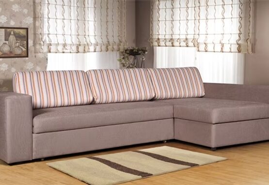 imgi_5_cecede_5240ba055b1a4629a0a559e4e4e50abemv2 1 555x382