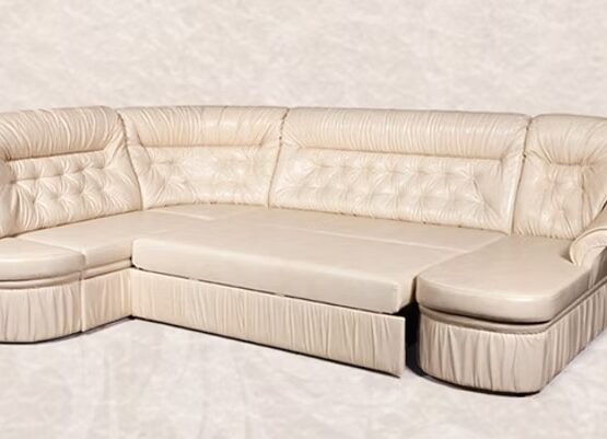 imgi_5_cecede_6219a261f3e742098311b77834eca658mv2 1 555x401