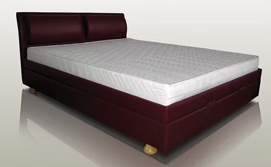 imgi_6_cecede_3d35b680abf9426d8d087bfe9d16c564mv2 555x343